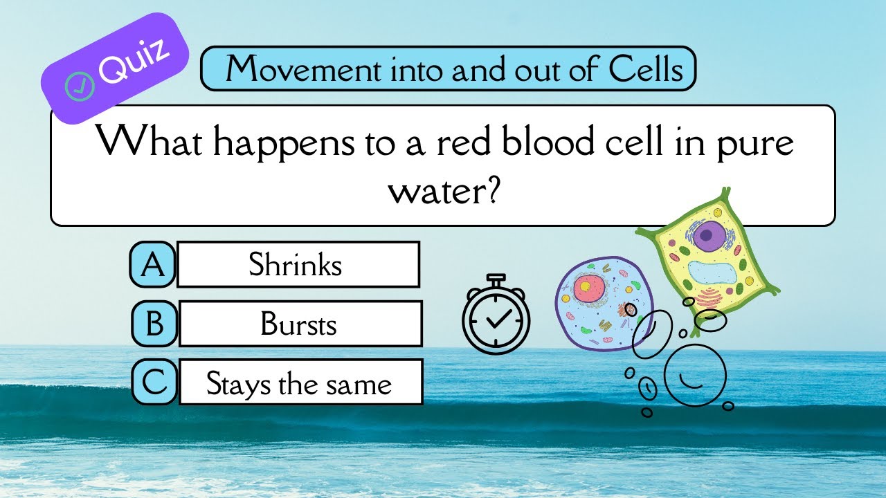 Movement Into & Out of Cells | Diffusion, Osmosis & Active Transport Quiz (30 MCQs)