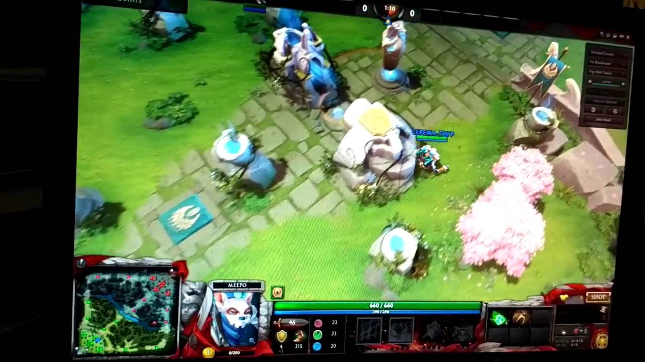 meepo jungle