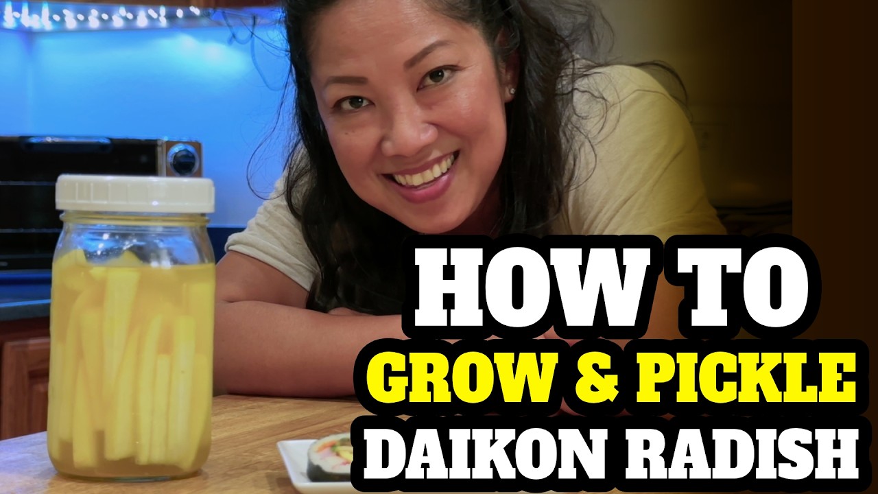 From Garden to Table: My Daikon Radish Harvest Adventure!