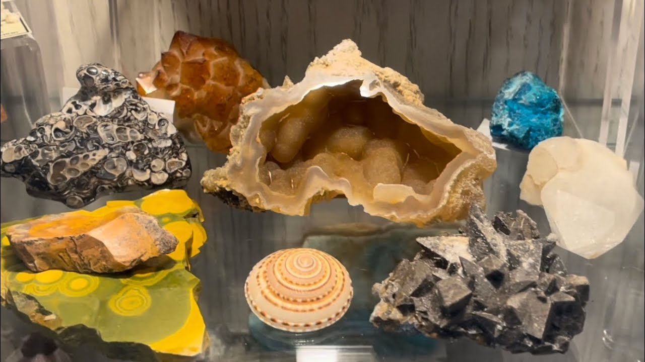 GEOLOGY ROCKS - My Minerals Shells Crystals Fossils (2025)