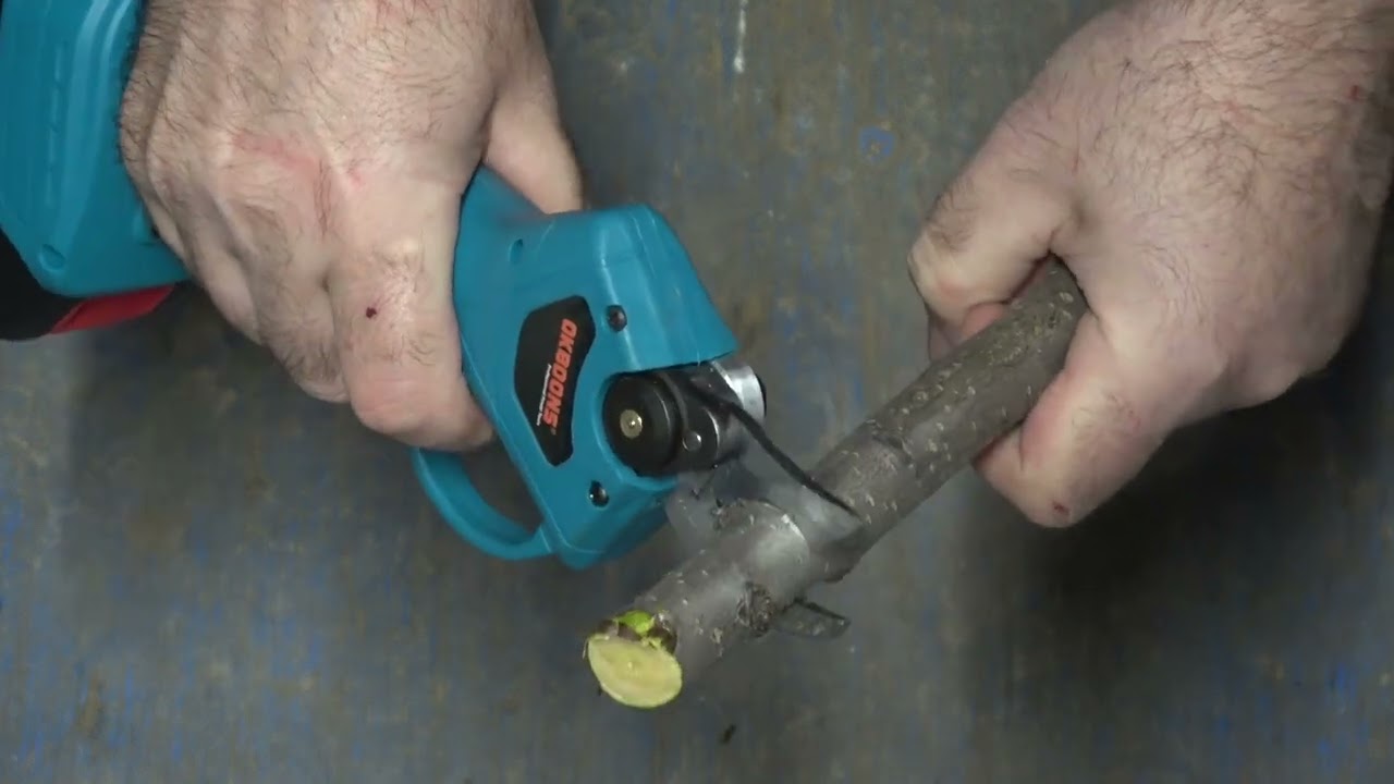 Foarfeca electrica de gradina, chinezeasca ✂️🌳 (Chinese electric garden shears)