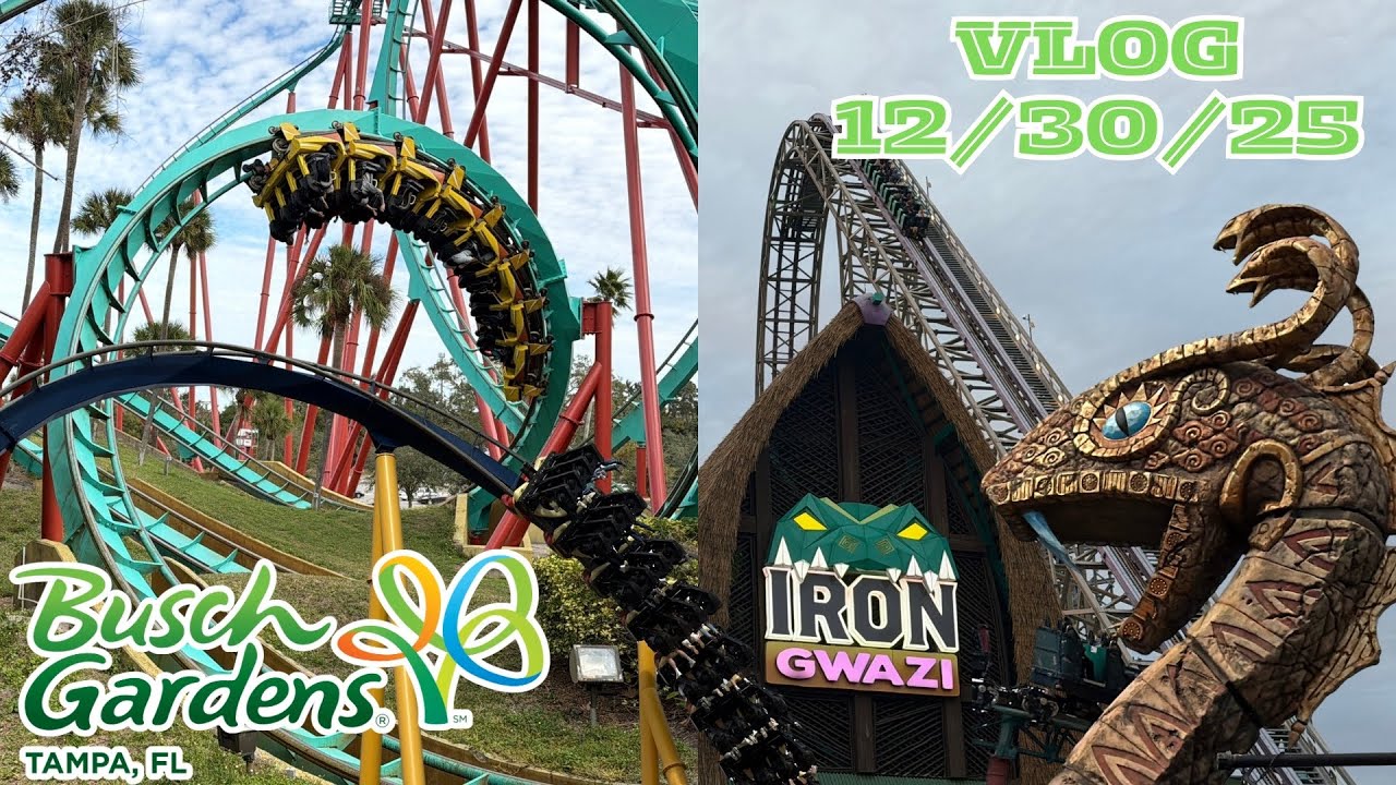Я наконец-то прокатилась на аттракционе Iron Gwazi || Видеоблог из Busch Gardens Tampa, 30.12.2025