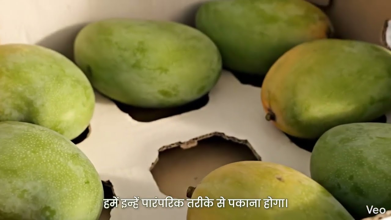 Kesar Mango Box Opening | How to Know Mango is Ready to Eat
