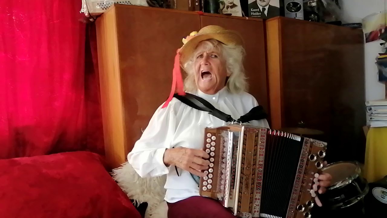 jihočesk&aacute; balada - Kubata - heligonka