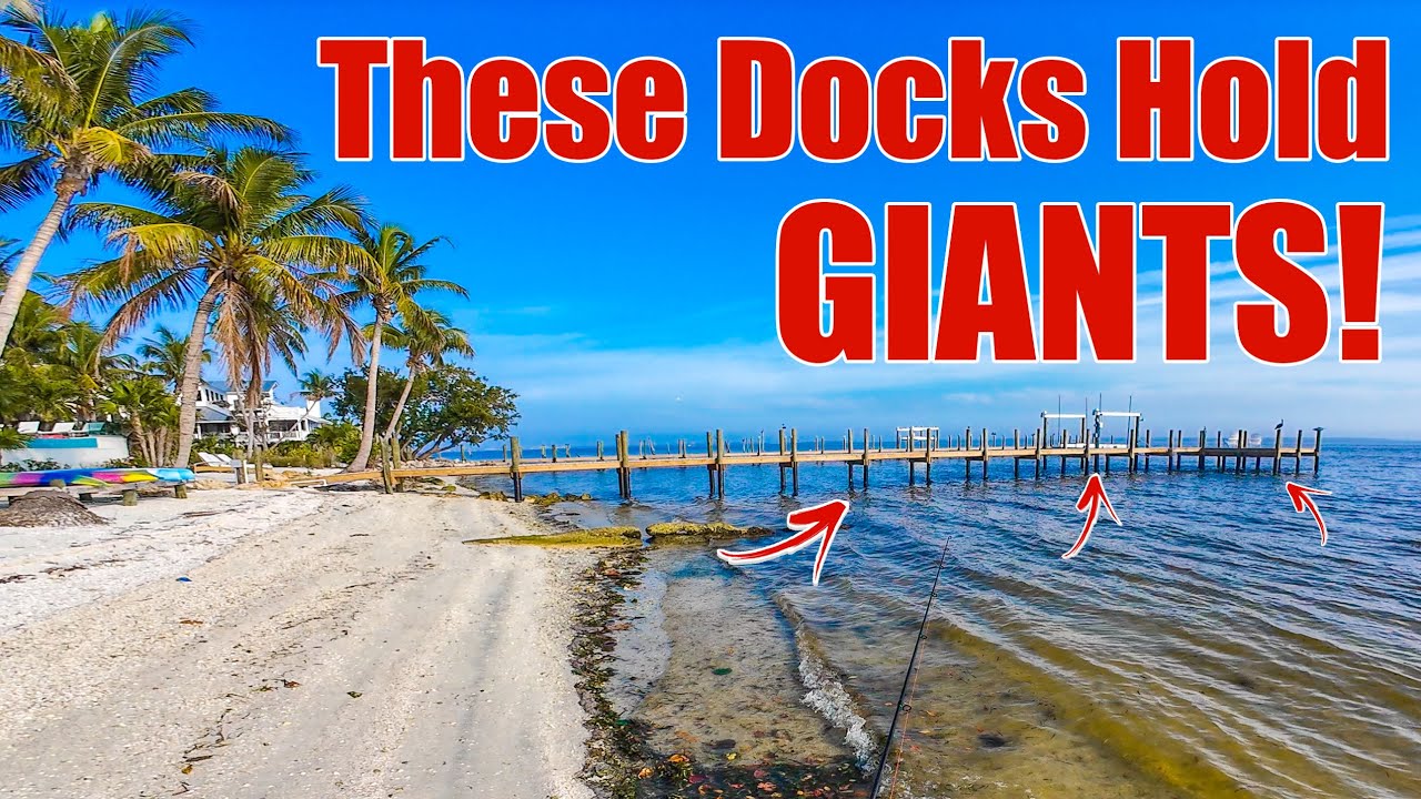 Chasing MONSTERS On Docks and Seawalls in Sanibel - You Haven't Tried It This Way!