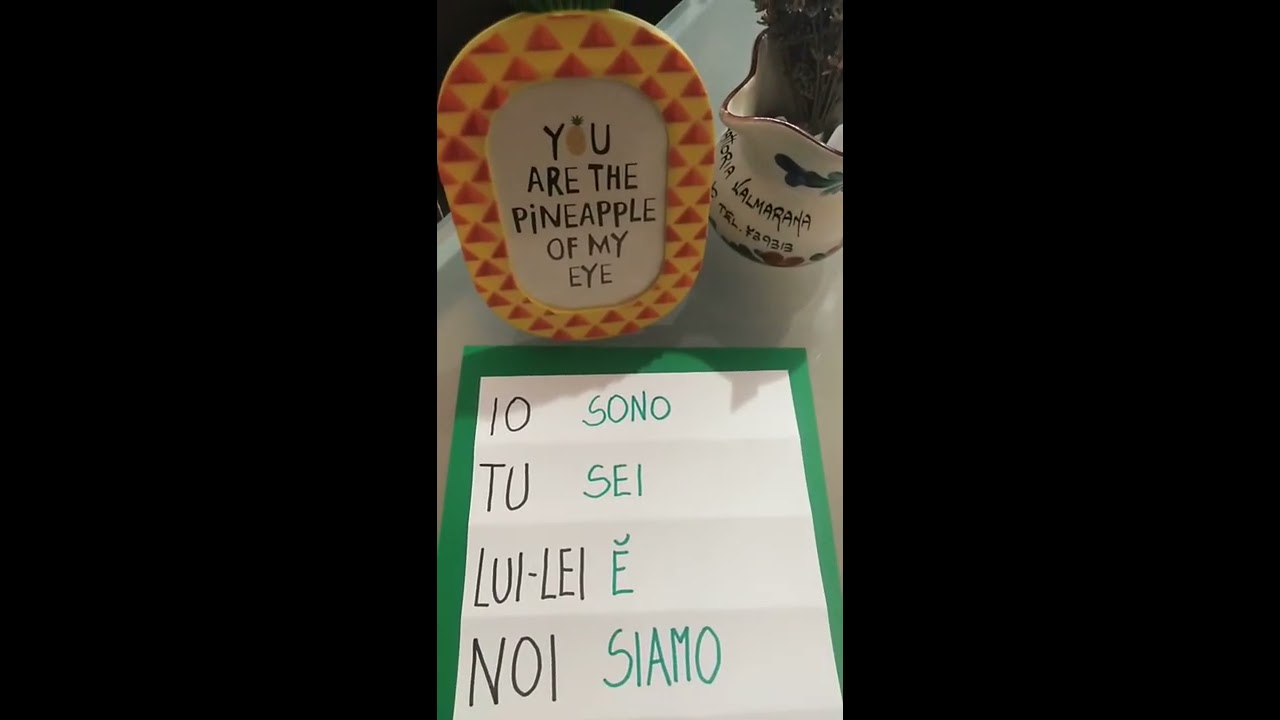 Introduzione al verbo ESSERE