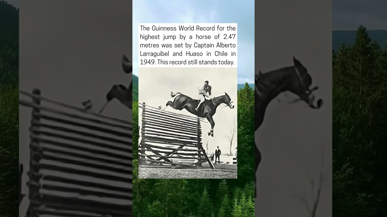 Huaso, The Horse That Jumped 2.47 Meters