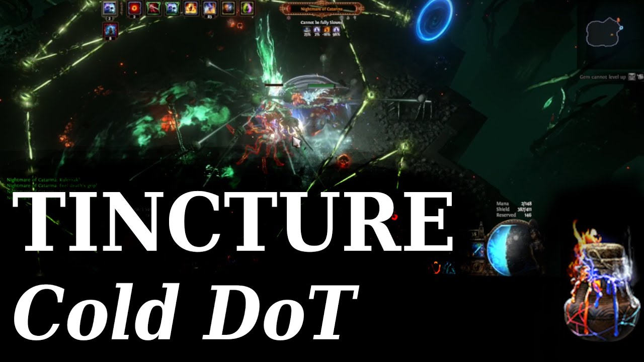 Cold DoT Tincture-Based (???) Warden [20 Divine Builds // Path of Exile 3.25]