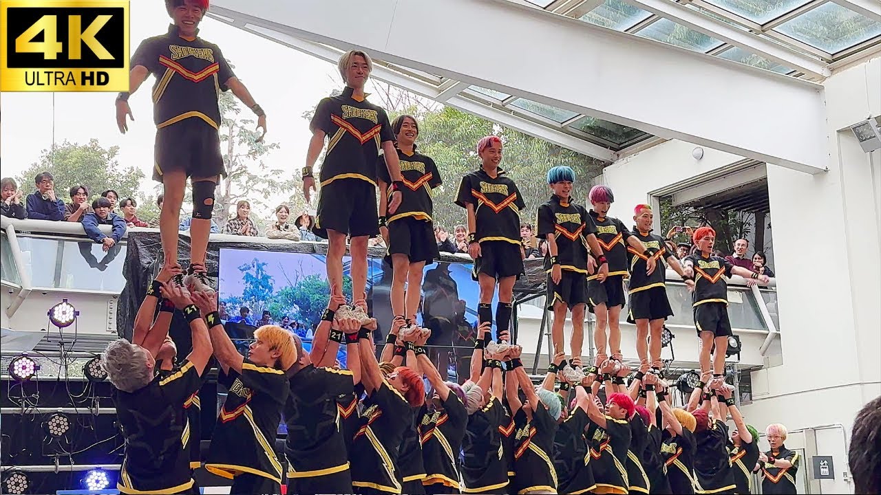 【早稲田祭 2025】早稲田大学男子チアリーディングチーム ”SHOCKERS” / チアリーダー 男子チア Men's Cheerleading