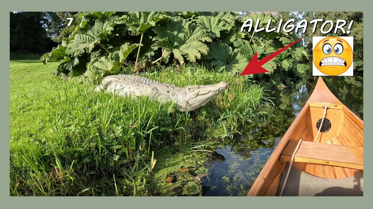 ALLIGATOR SEEN IN NORFOLK RIVER😲!  BIRTHDAY CANOE TRIP | Dodging branches on River Bure