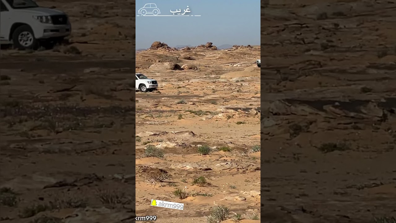 مقناص كراوين ١٤٤٢هـ