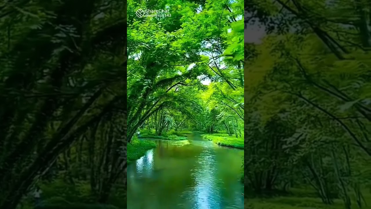 fypジviralシfypジ#fypジviralシ #fypジviralシfypジ #fypジviralジviralシfypジ #fypジviralシfypジ#fyp