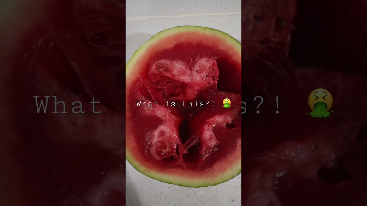 Inside my WATERMELON…Would you Run, Hide or still Eat it?! 