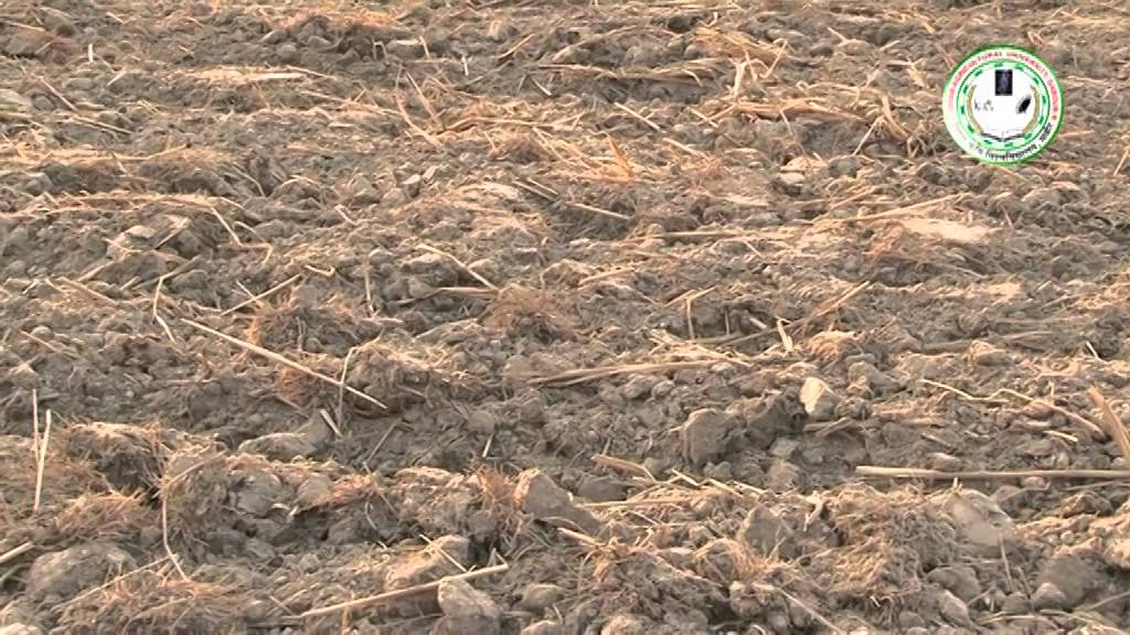 Soil Test - Why, When & How (मिट्टी जाँच - क्यों , कब और कैसे)