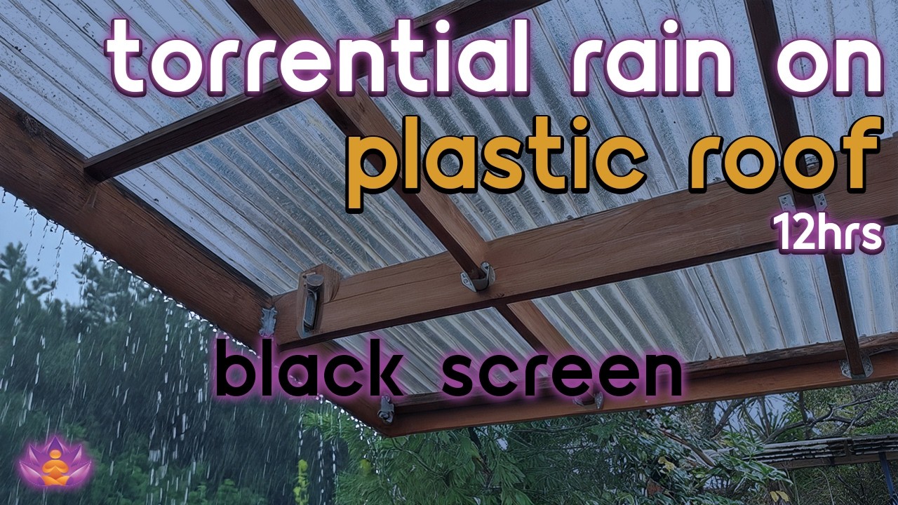 [Black Screen] Heavy Rain Downpour | Torrential Rain on Plastic Roof No Thunder | Sleep Rain Sounds