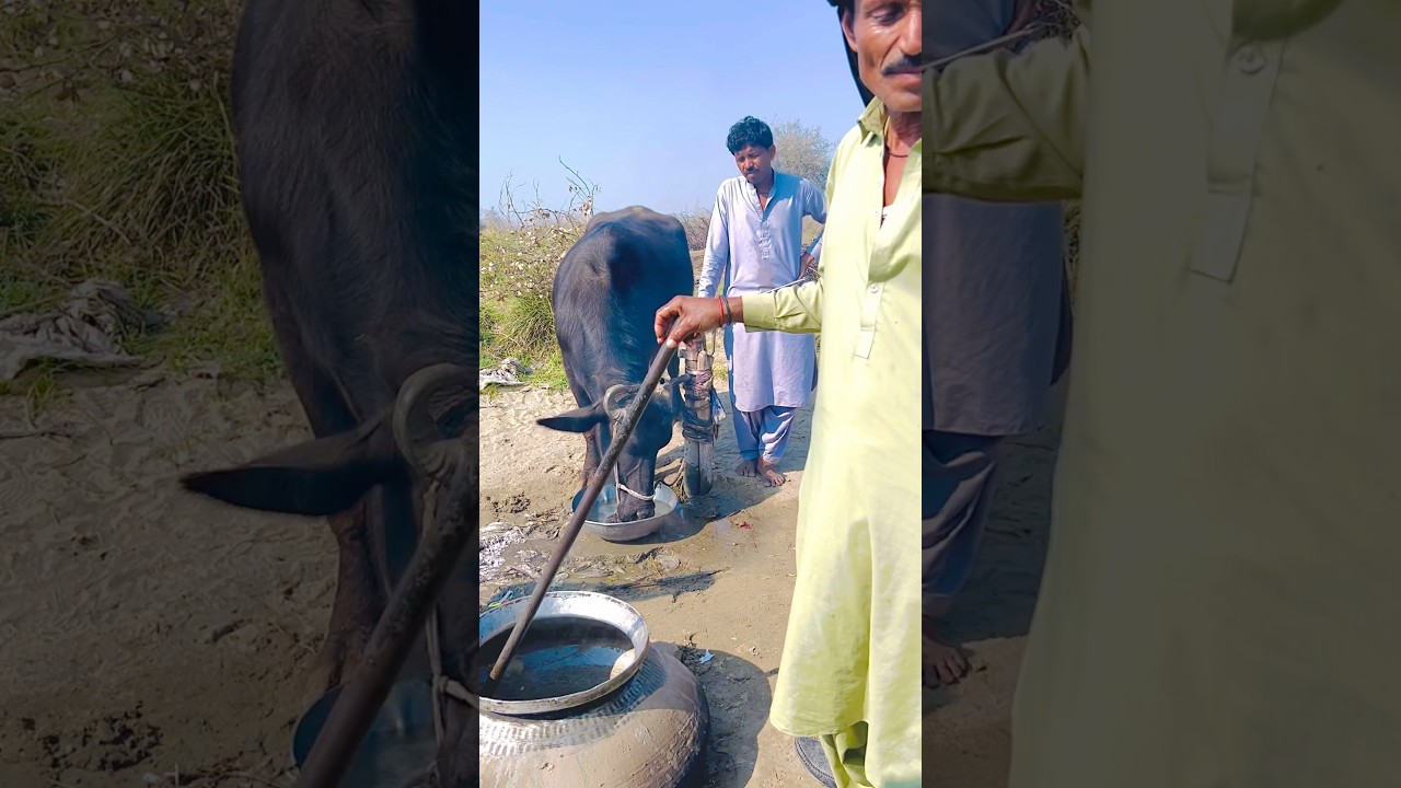 Amazing Hindu Village Wedding in Pakistan 🇵🇰 | Unique Traditions You&rsquo;ve Never Seen
