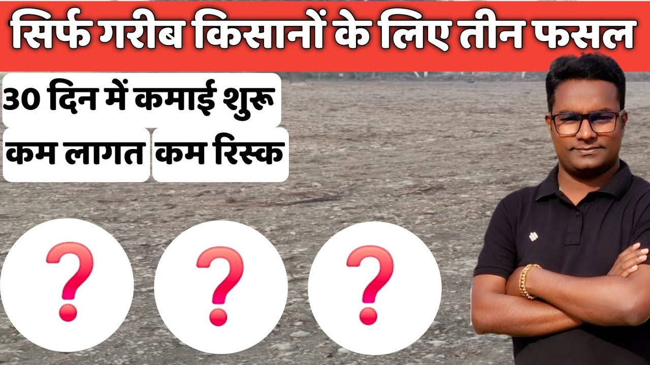 Three crops for poor farmers that will change their fortunes.