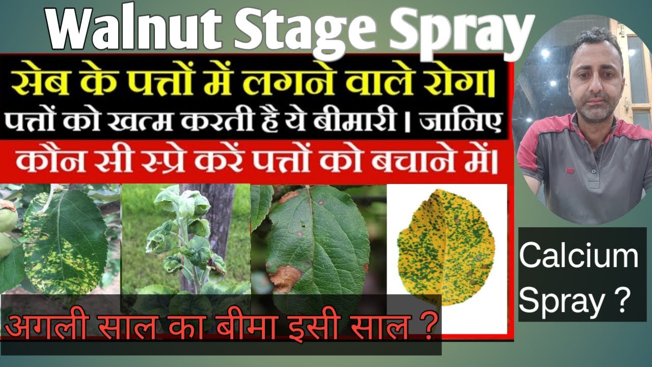 Walnut Stage Spray | Walnut Stage Spray Schedule 2023 |