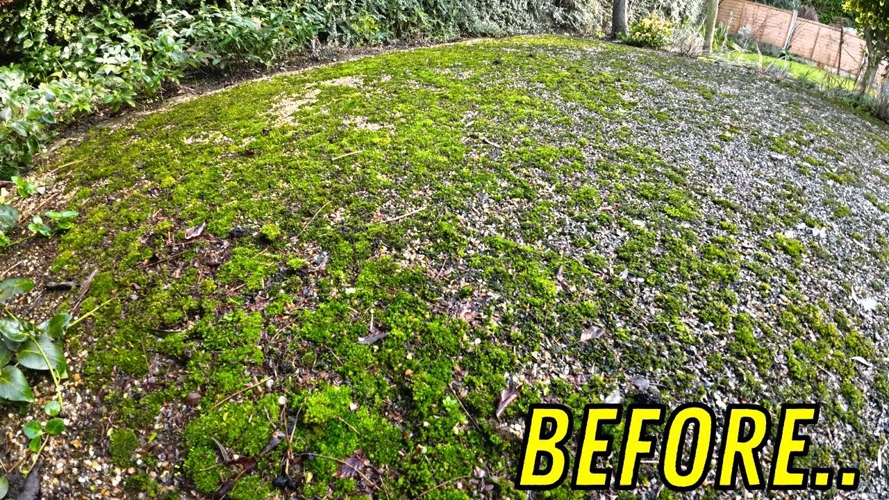 Help Thy Neighbour! How Many Can We Help In One Day?! *Pressure Washing Transformations*