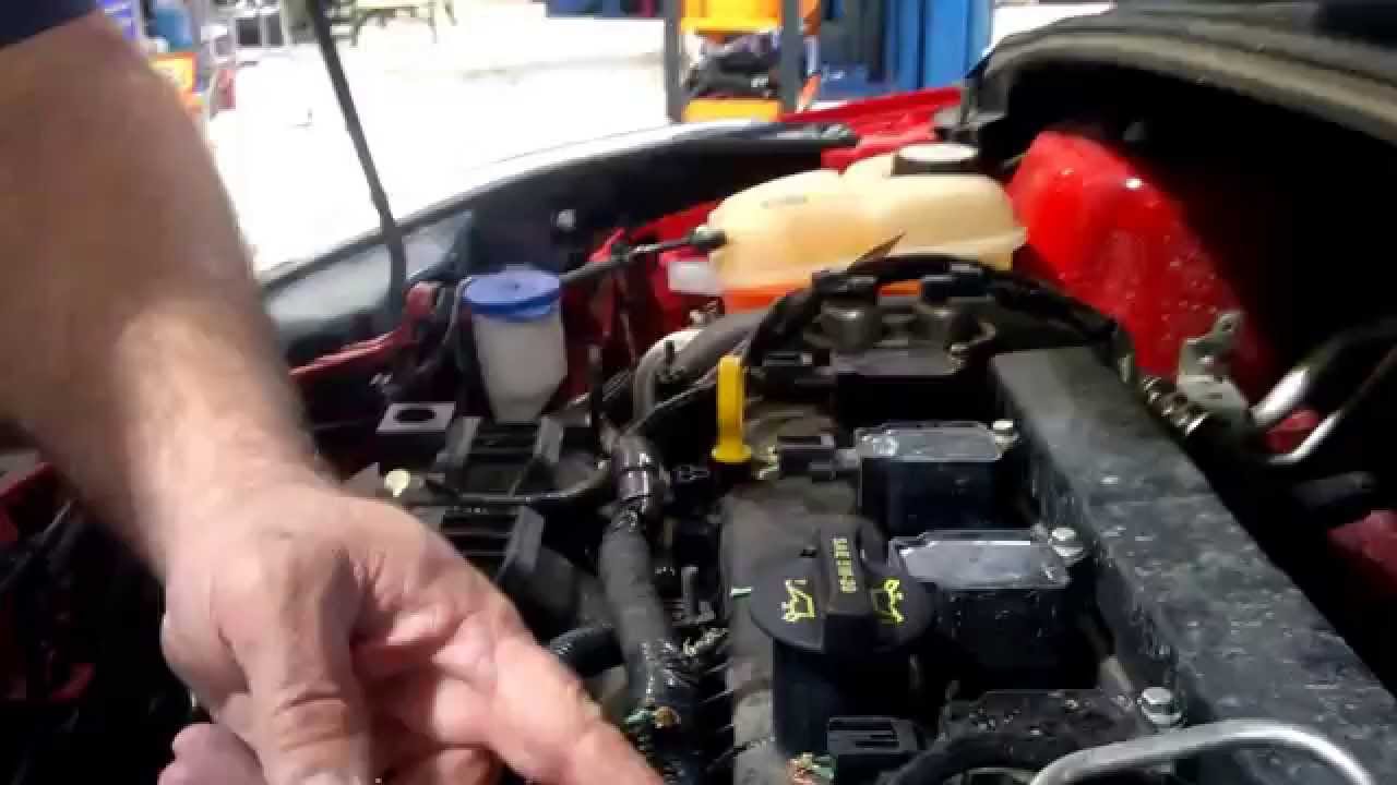 Mouse damage done to cars