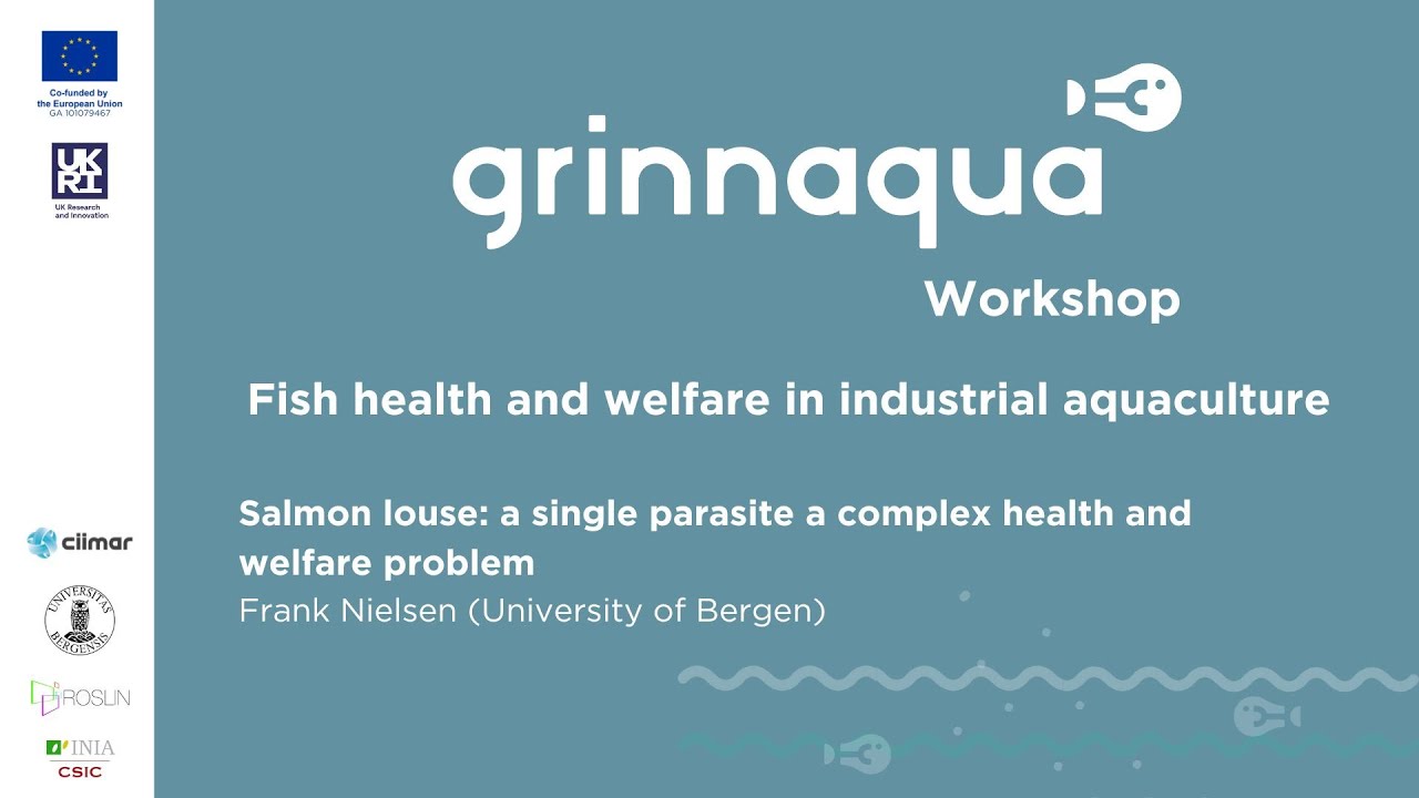 Frank Nielsen - Salmon louse - a single parasite a complex health and welfare problem