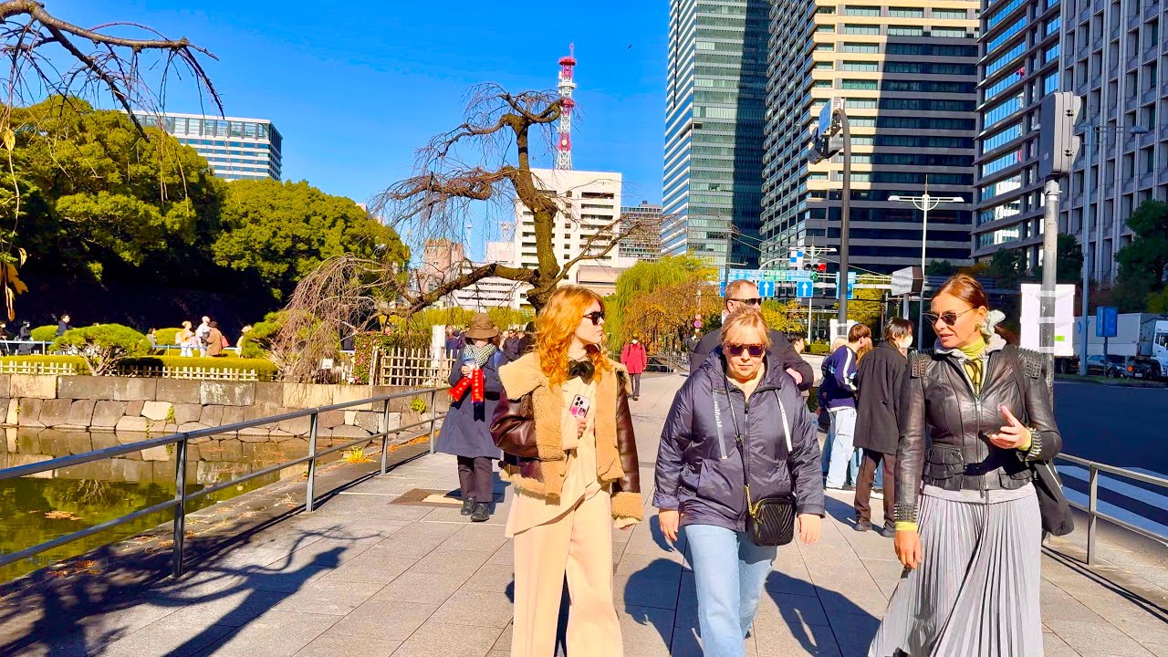 [4K] 東京皇居外苑と皇居内苑の散策。 Walking Tour in the Imperial Palace Outside/Inside. Tokyo, Japan. November 2024