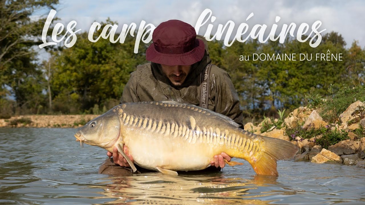 PECHE de la CARPE - Un AUTOMNE au Domaine du Frêne