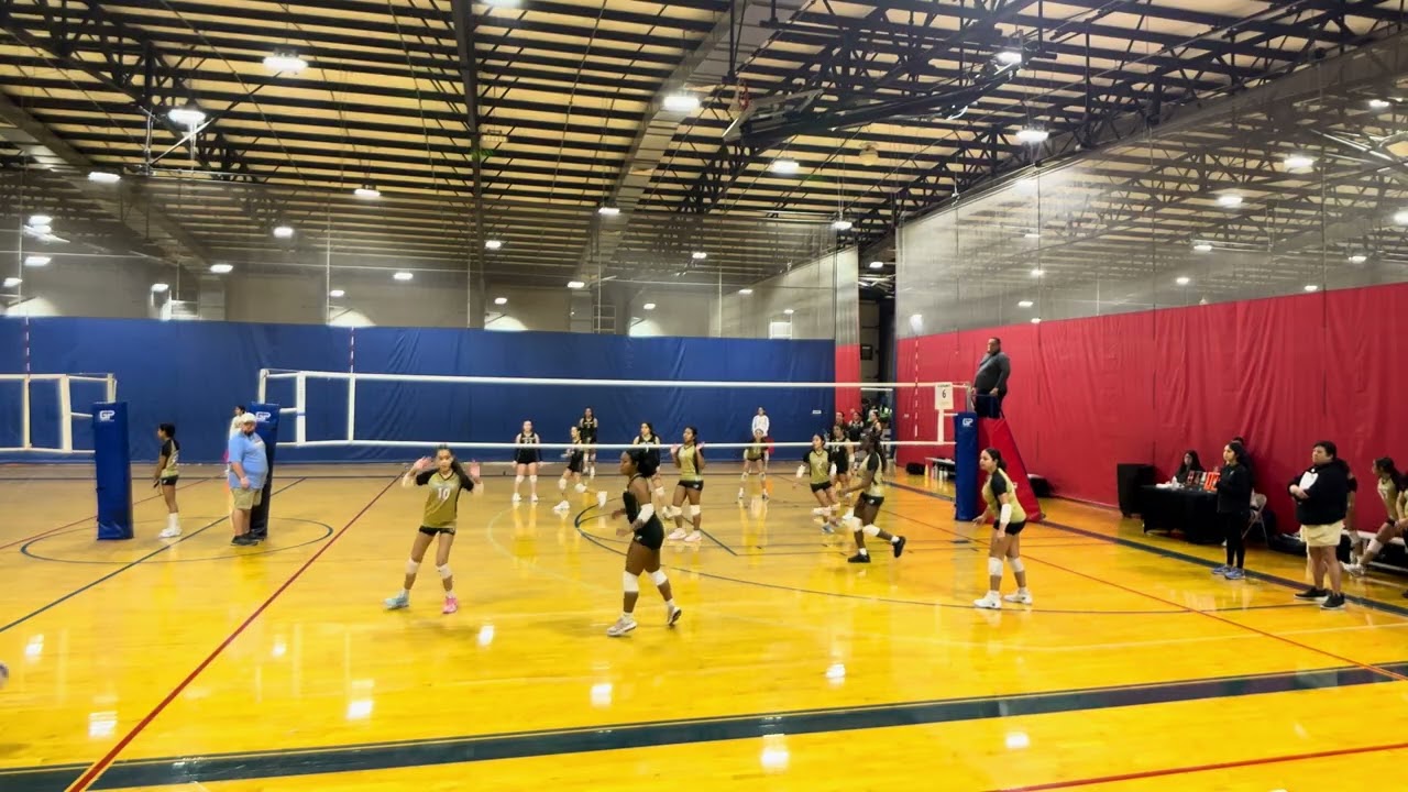 GP14 Gold vs GP13 Black