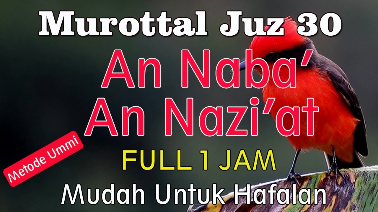 SURAT AN NABA Dan SURAT AN NAZIAT | MUROTTAL JUZ 30 JUZ AMMA