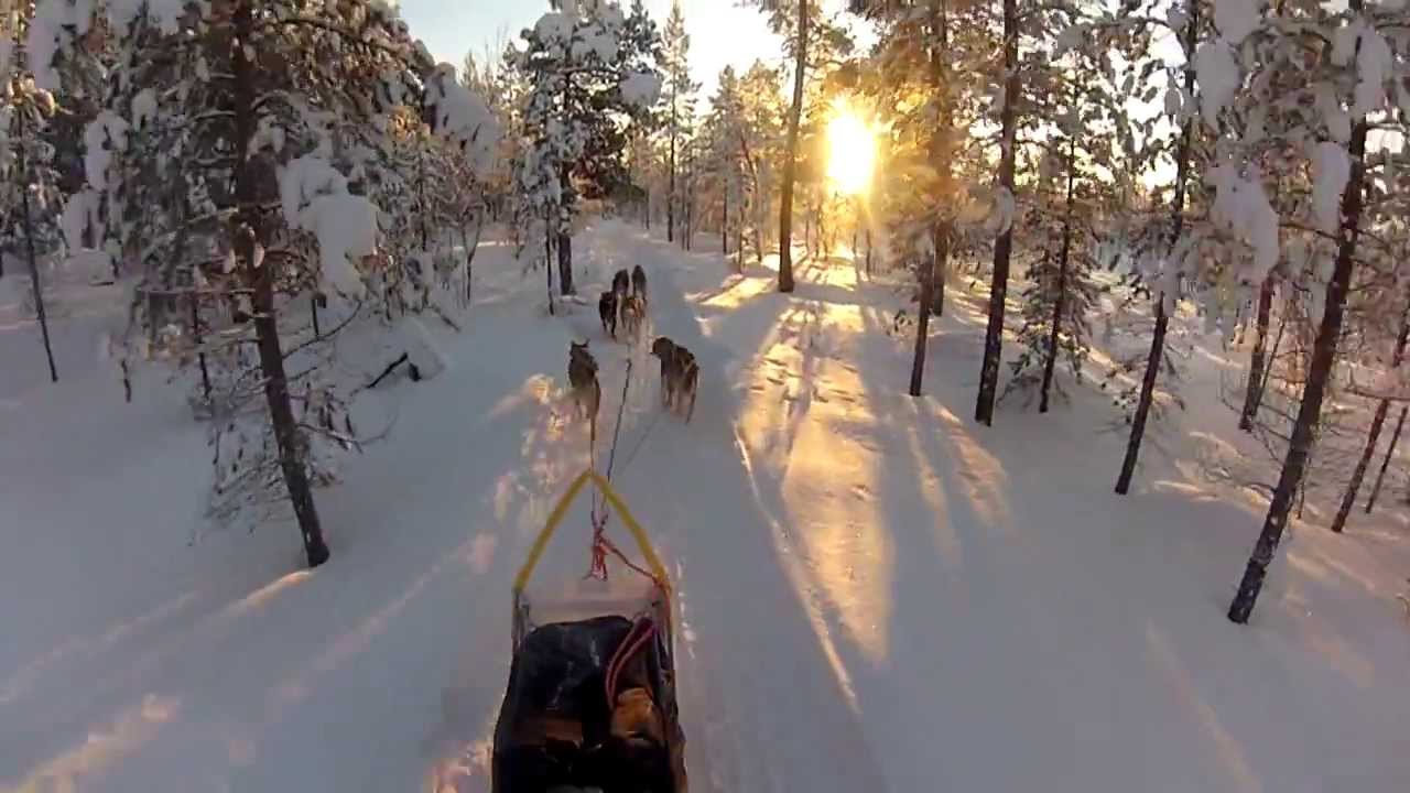 GoPro Hero 3: Best of Husky Sledding in Norway 2013