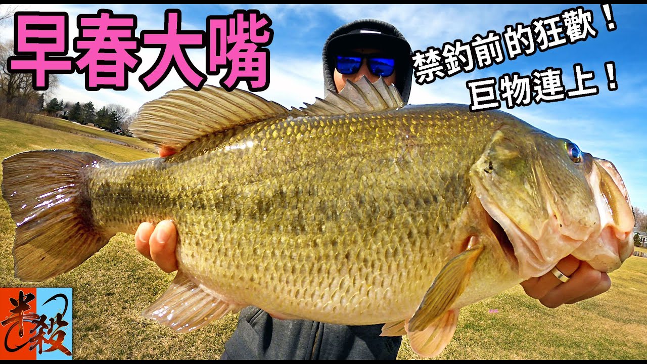 久違的大嘴黑鱸早春爆咬 | 多種路亞輪番上陣拉到手軟 （新湖開箱+新竿/卷開胡）#半殺 #路亞 #釣魚