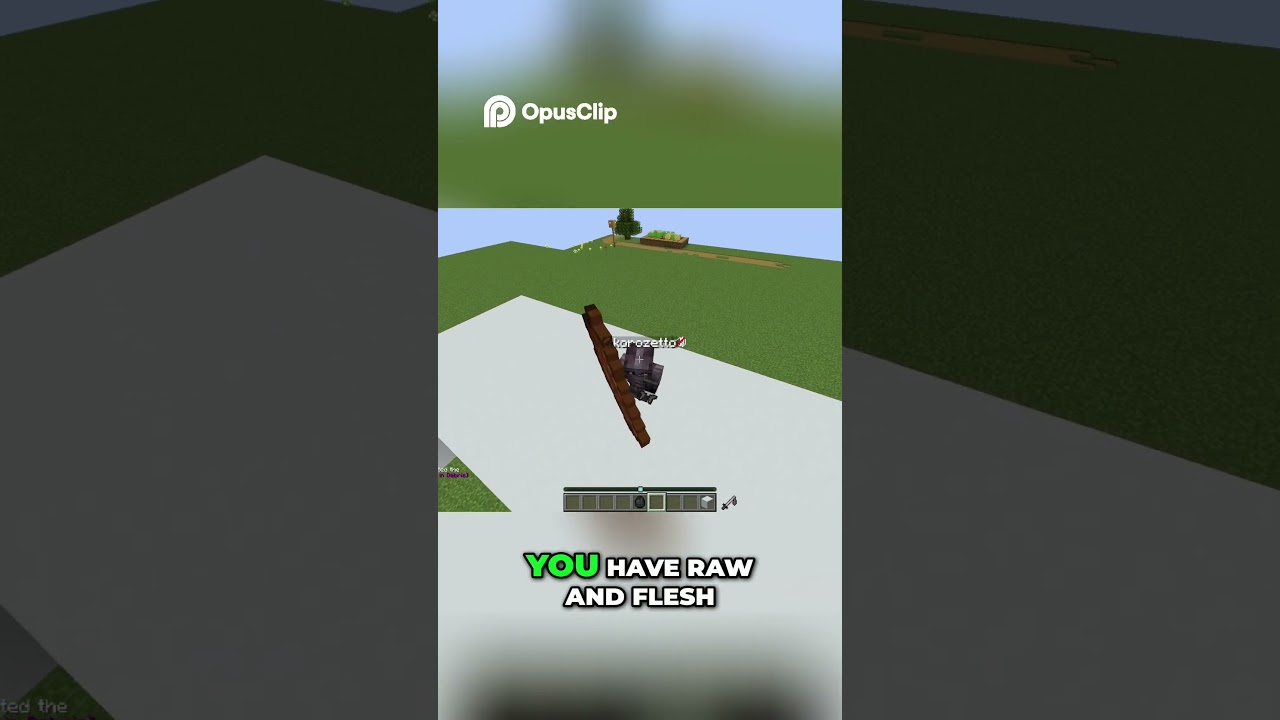Игра-угадайка с Коро! Подписывайтесь и ставьте лайки! #minecraft
