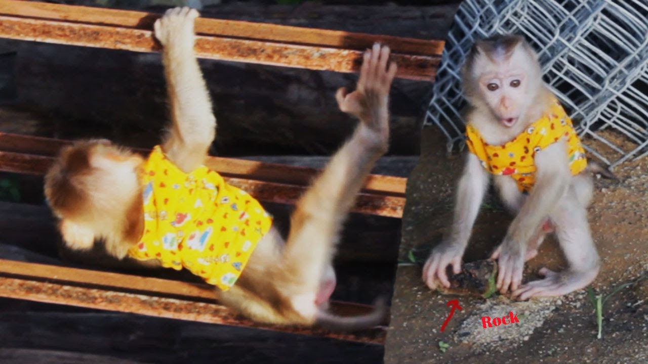 Brother Drilling Monkey Abbey On Sand & High Stand To Get Special Ninja Power