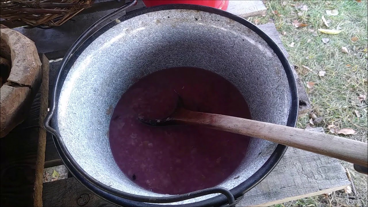 DZIKIE ROŚLINY JADALNE odc 3 Głóg