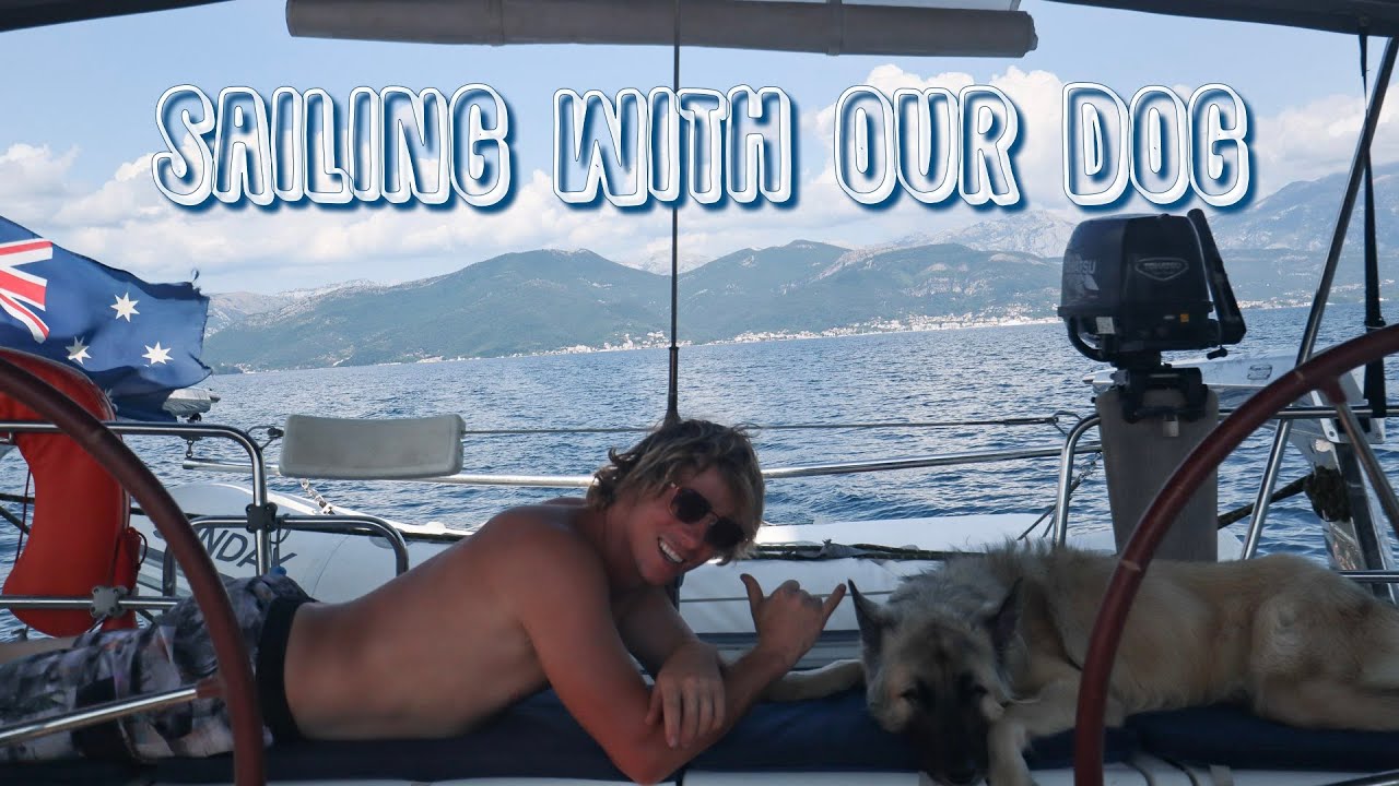 CRUISING LIFE with our German Shepherd dog | Life on a sailboat | Sailing Sunday Ep. 20