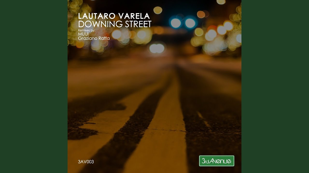 Downing Street (MUUI Paranoid Remix)