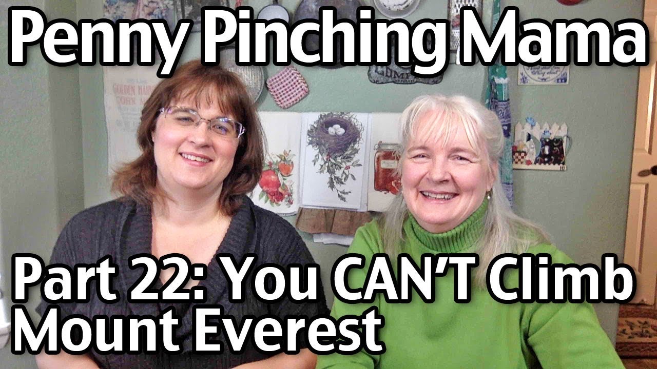 You CAN’T Do It - So Don't Even Try -  Penny Pinching Mama Part 22