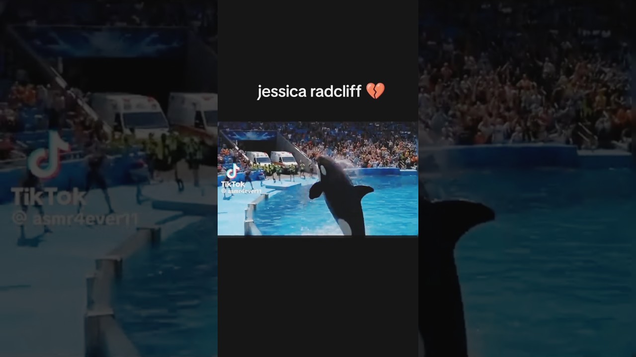 😱Jessica Dolphin Attack 2025 #dolphin attack