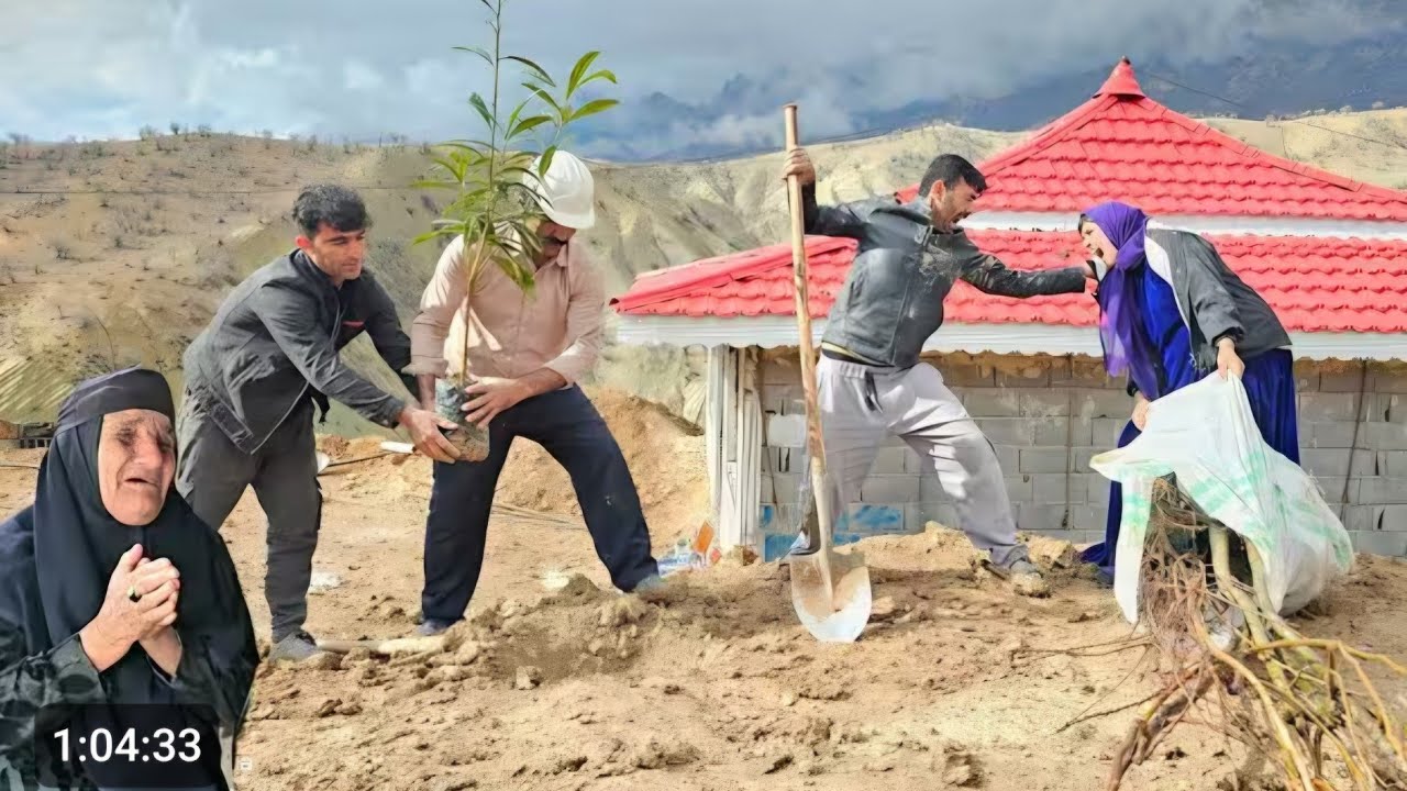 Stepmother Documentary:Engineerplantsatree for hisgrandmotherandthedevilishdaughter-in-law's reactio