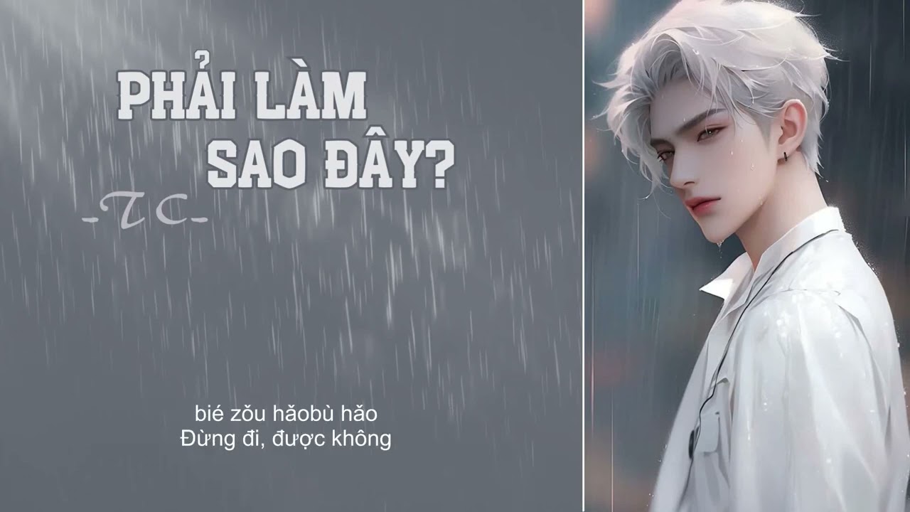 [Vietsub+Pinyin] Phải làm sao đây (该怎么办) - TC