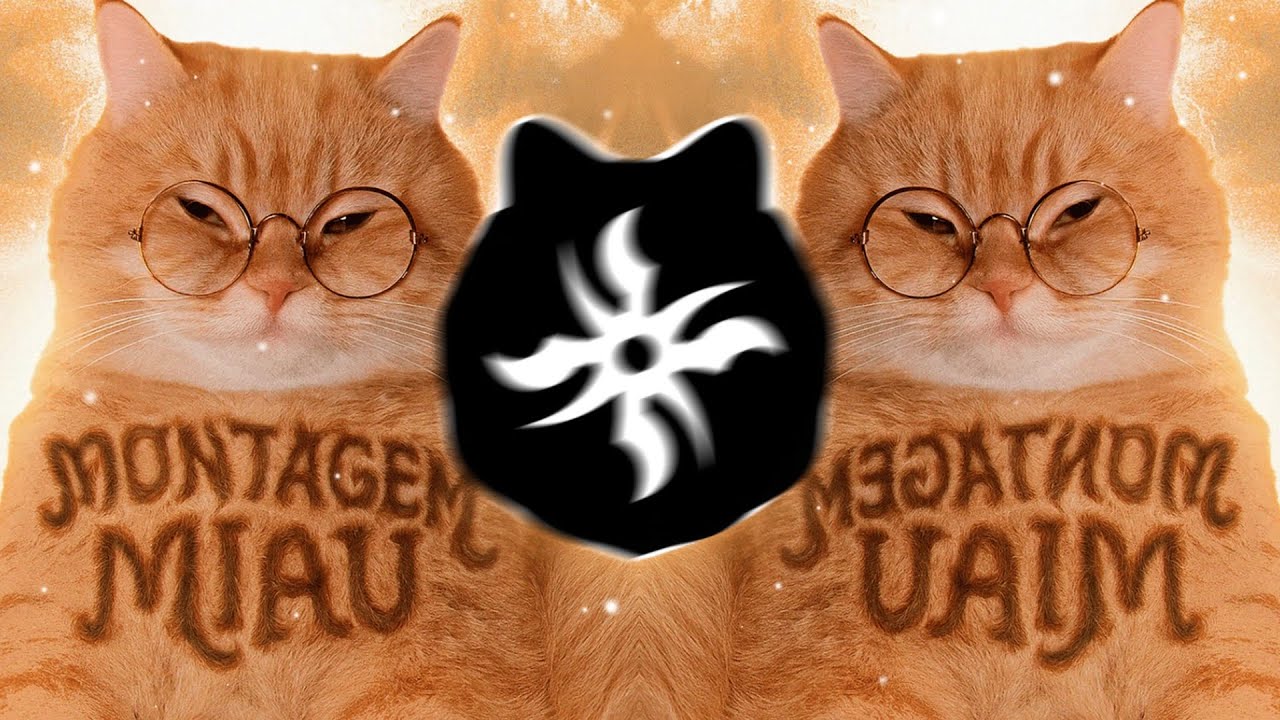 Lenar - MONTAGEM MIAU