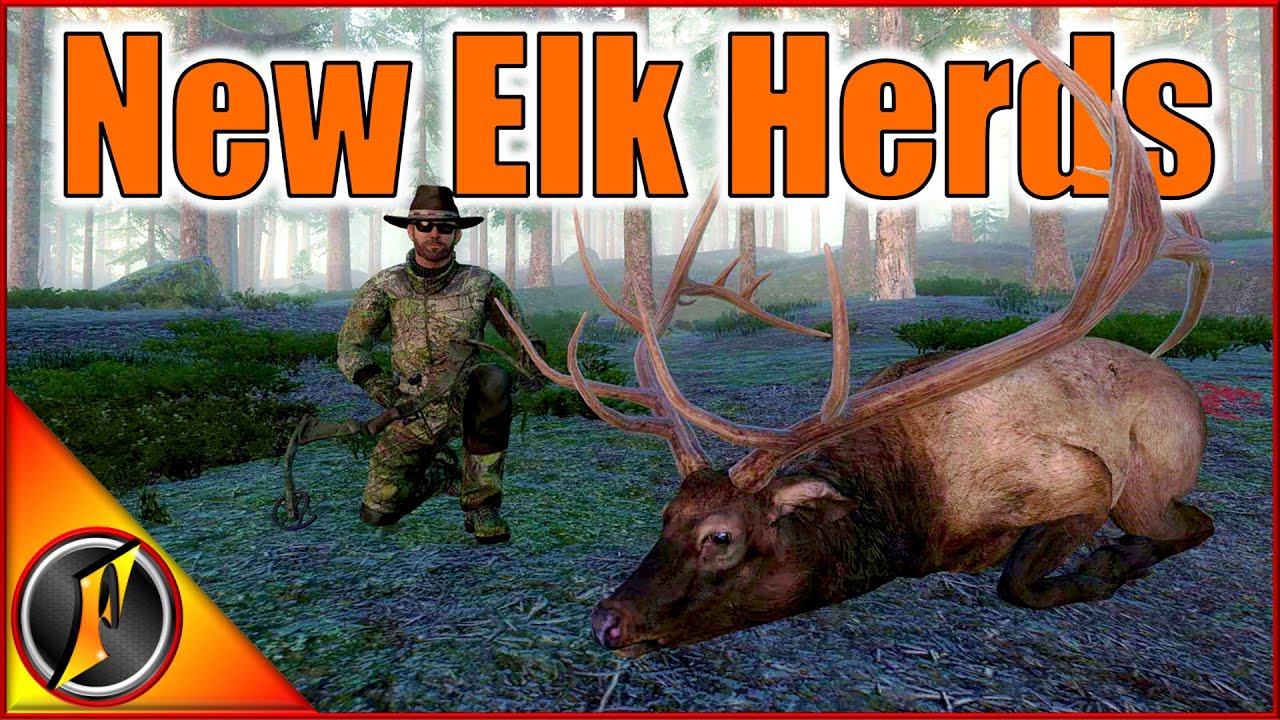 Hunting Big Bulls in the New Elk Herds in theHunter Classic!
