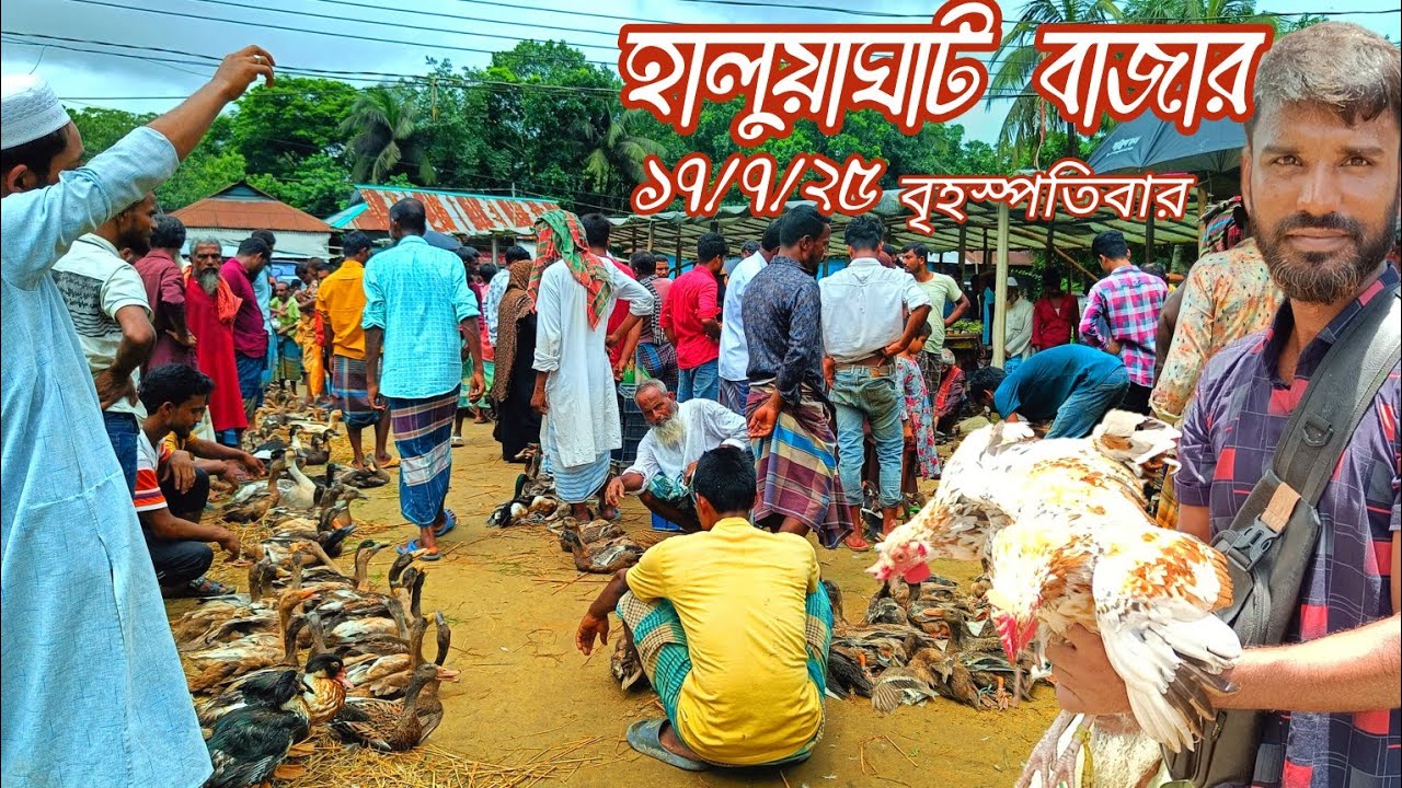 সীমান্তে পানির দামে দেশীয় হাঁস মুরগি বিক্রি হালুয়াঘাট বাজার।