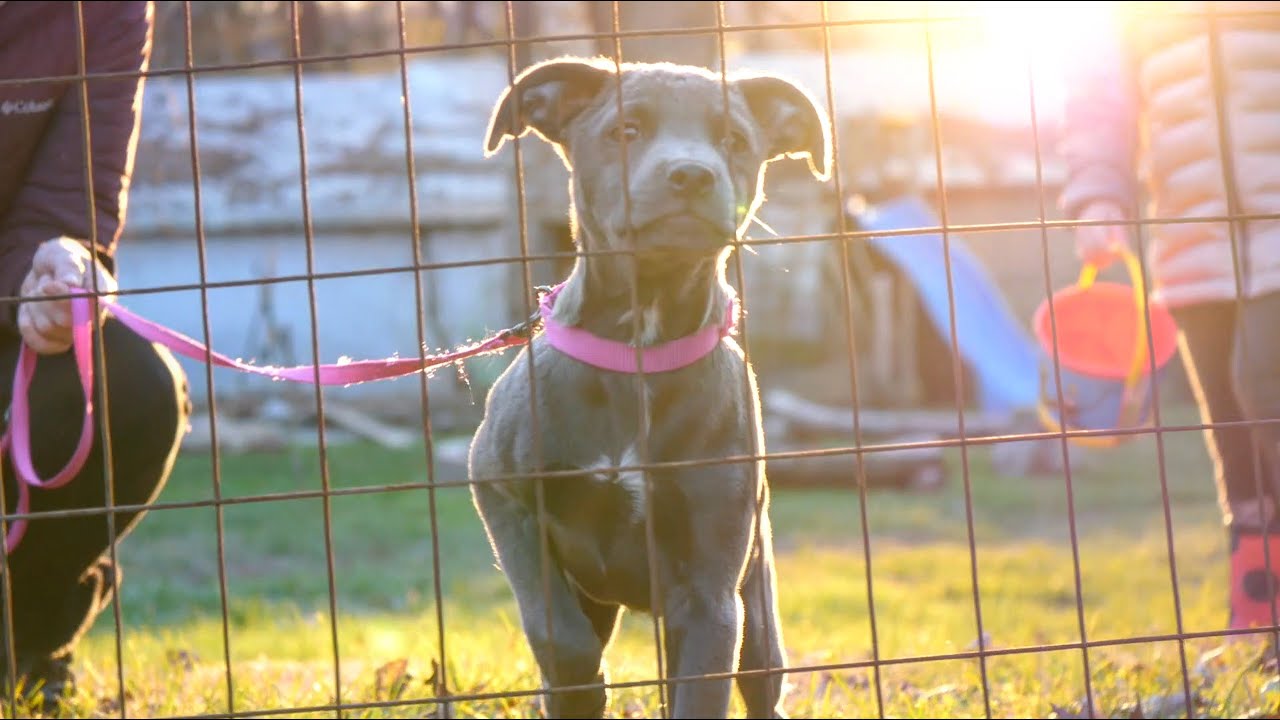 One Day At A Time... Quitting WEED Cold Turkey