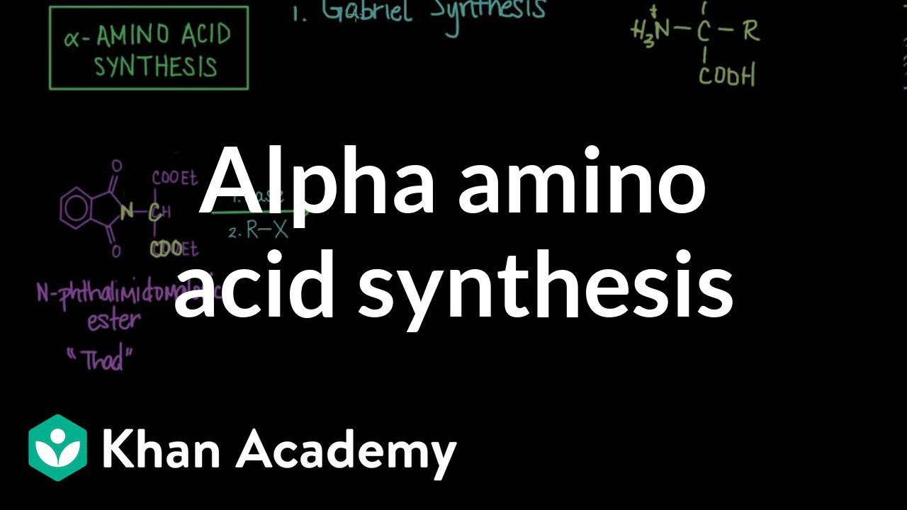 Alpha amino acid synthesis | Chemical processes | MCAT | Khan Academy