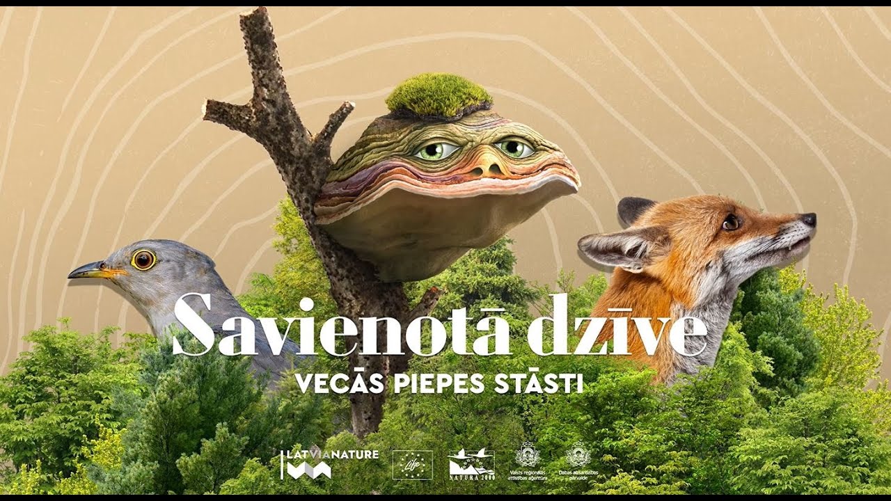 Vecās Piepes stāsti. 1.stāsts: SAVIENOTĀ DZĪVE.