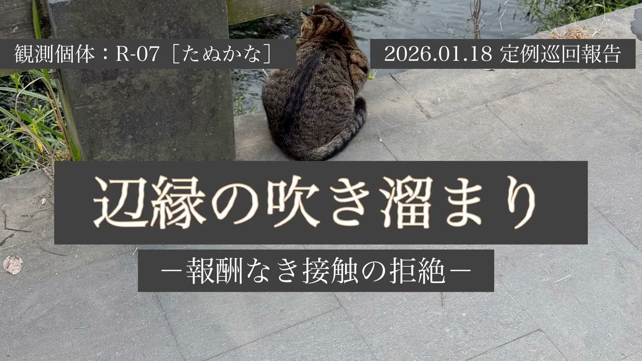 【第1次 定例巡回】ママの熟練接客術その他 | 2026.01.18