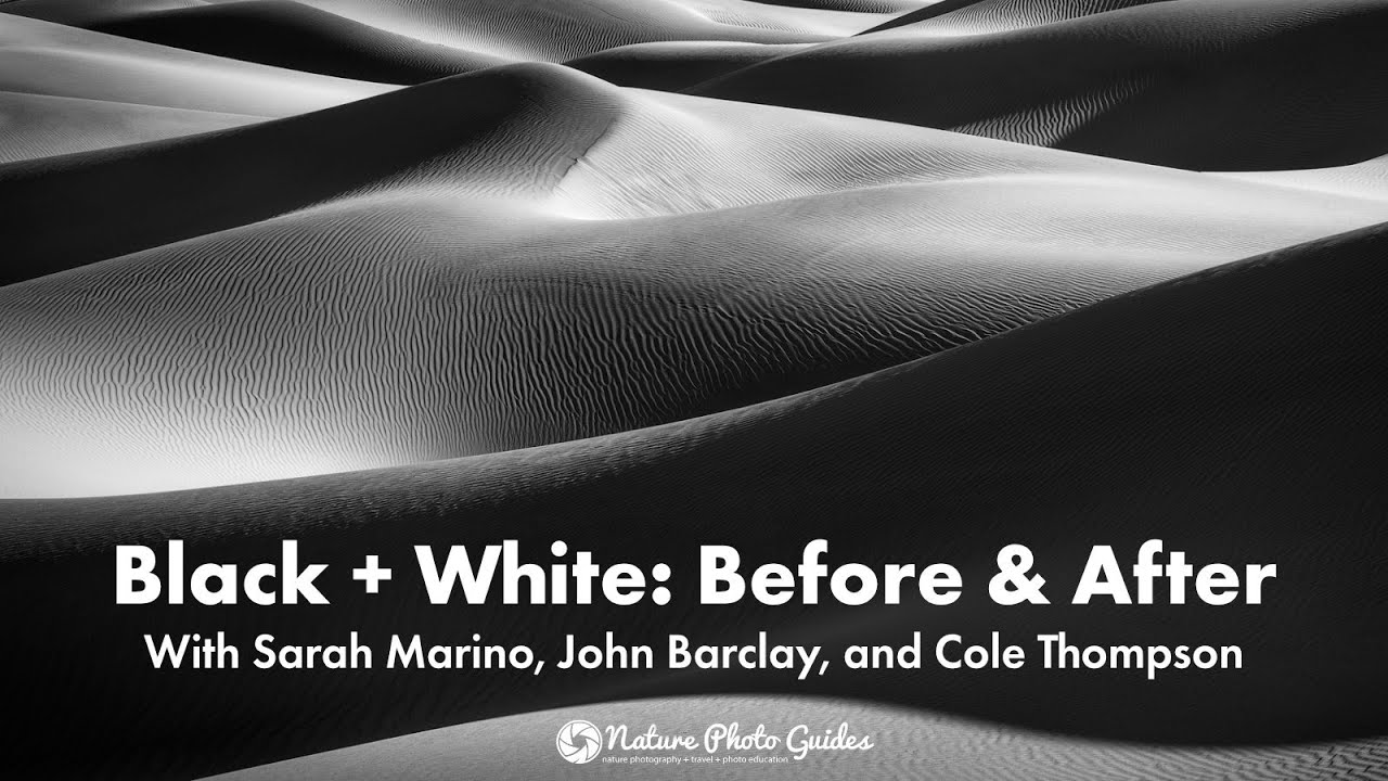Black + White: Before & After Recorded Webinar with Sarah Marino, John Barclay, and Cole Thompson