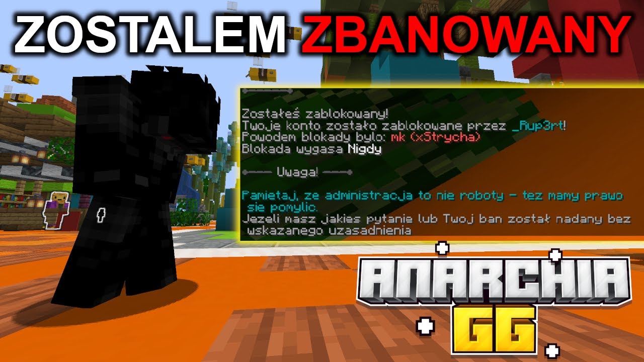 🔫Jak zdropowałem miecz 43% i zostałem zbanowany na lifesteal smp (anarchia.gg)
