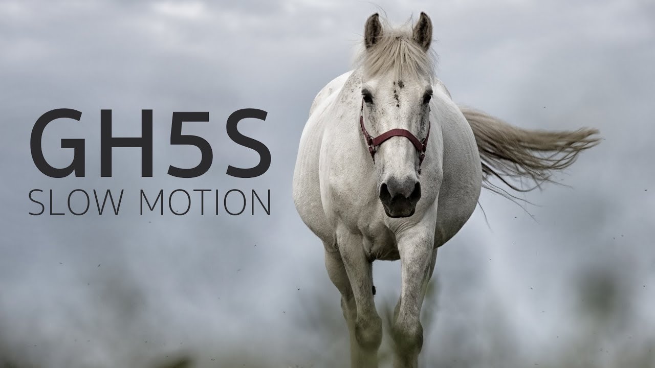 Panasonic Lumix GH5S + DJI Ronin-S | 240fps Slow-Motion Footage